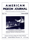 Magazine Cover
